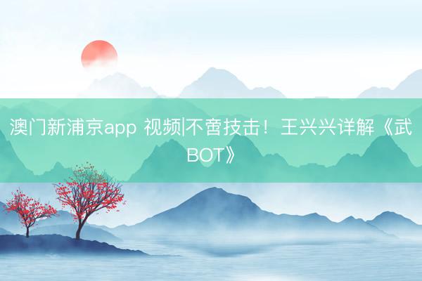 澳门新浦京app 视频|不啻技击！王兴兴详解《武BOT》