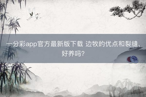 一分彩app官方最新版下载 边牧的优点和裂缝,好养吗?