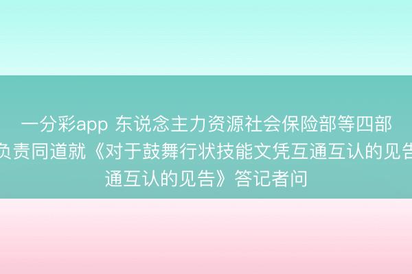 一分彩app 东说念主力资源社会保险部等四部门联系司局负责同道就《对于鼓舞行状技能文凭互通互认的见告》答记者问