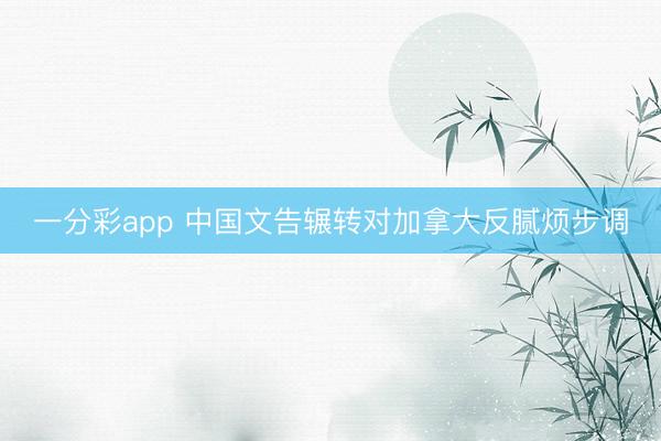 一分彩app 中国文告辗转对加拿大反腻烦步调
